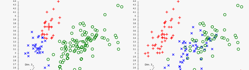 Cluster Analysis of Insurance Customers